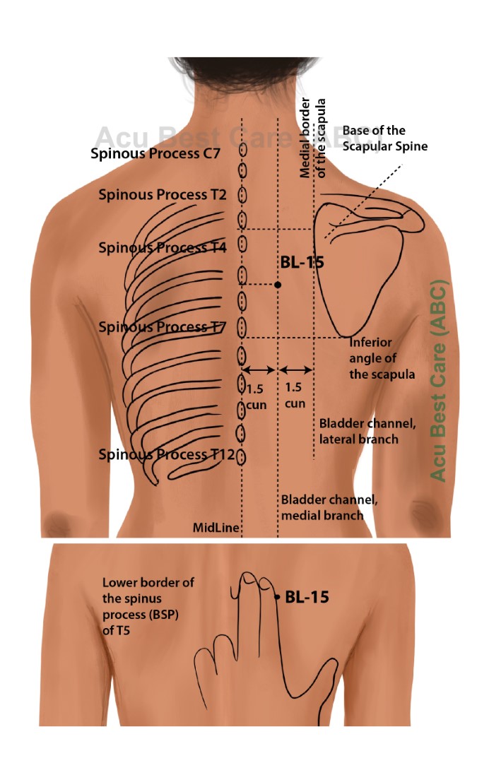 Acubestcare Meridian UB-15 or BL-15